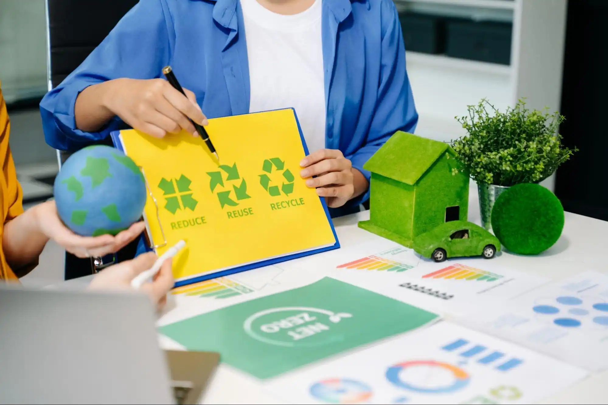 carbon offset programs