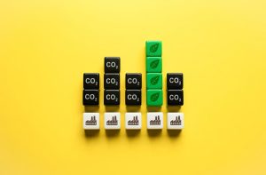 carbon credit provider